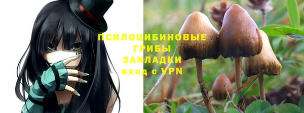 первитин Протвино
