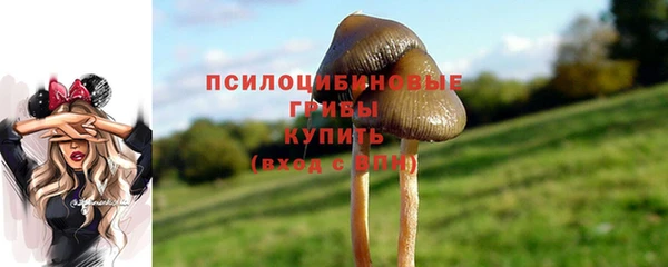 мескалин Приозерск