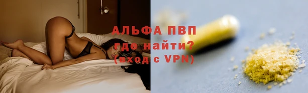прущие грибы Нефтекумск