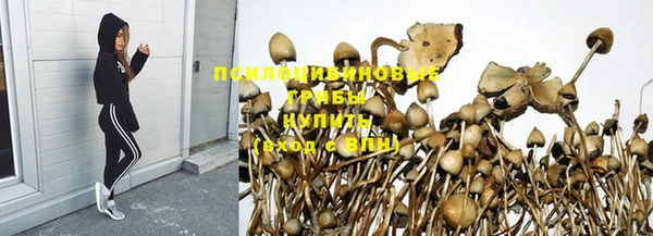 первитин Протвино