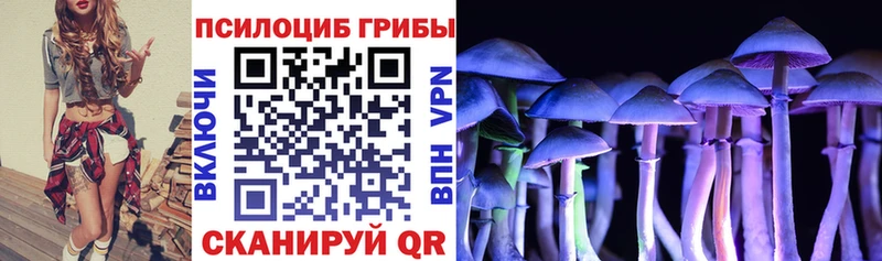 Галлюциногенные грибы Cubensis  Сурск 